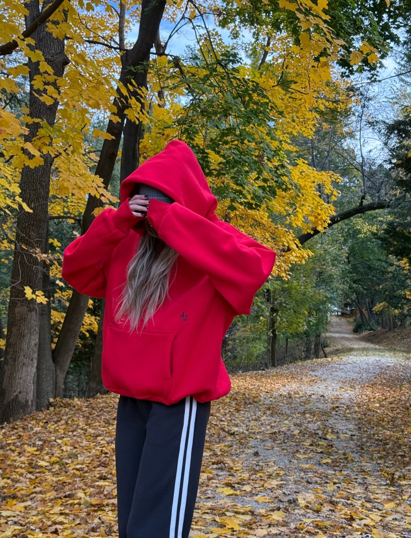 TRAMP STAMP HOODIE - Après June